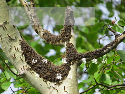如何處理匯票逾期？詳細(xì)步驟解析
